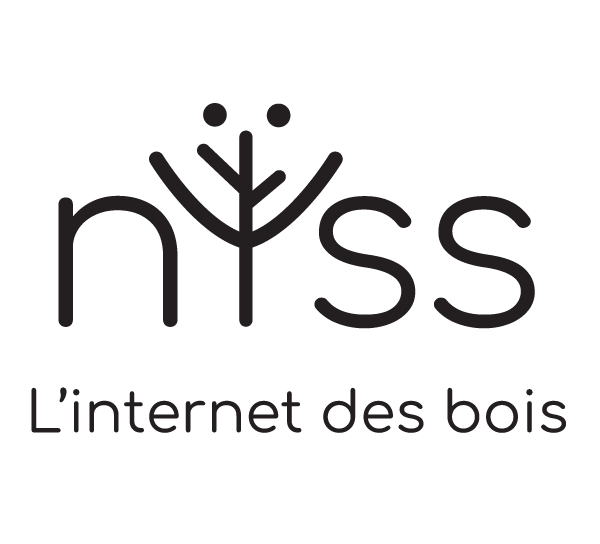 Internet NYSS